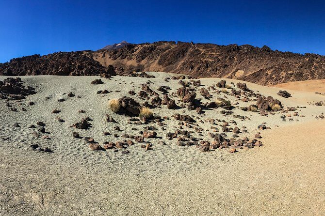 Mount Teide and Tenerife North with Food & Wine Tasting Private Tour - Practical Details & Tips
