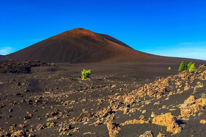 Mount Teide and Teno Country Park Private Tour - Frequently Asked Questions