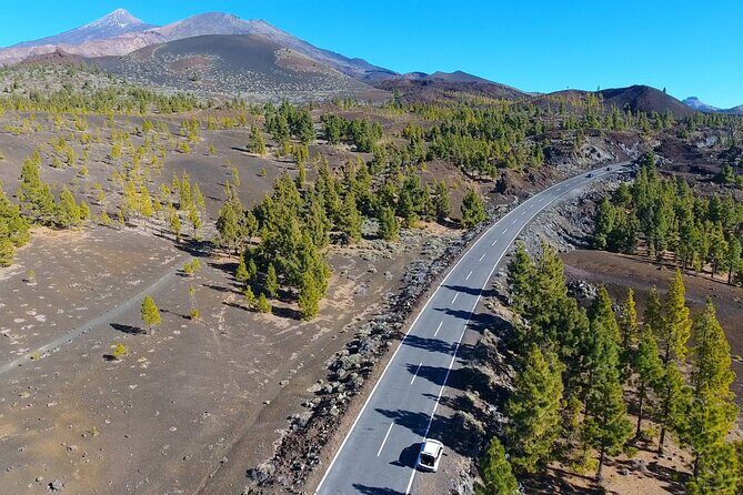 Mount Teide Quad Day Trip in Tenerife National Park - Authentic Traveler Feedback