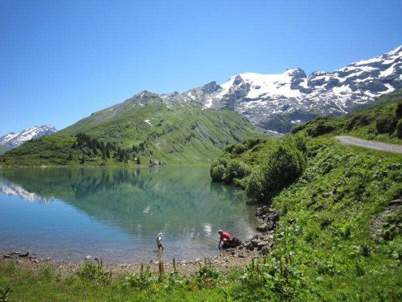Mount Titlis: Admission Ticket - Who Will Love This Tour?