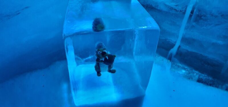 Mount Titlis Glacier World Private Day Trip from Basel - The Sum Up: The Best Choice for Authentic Alpine Adventures