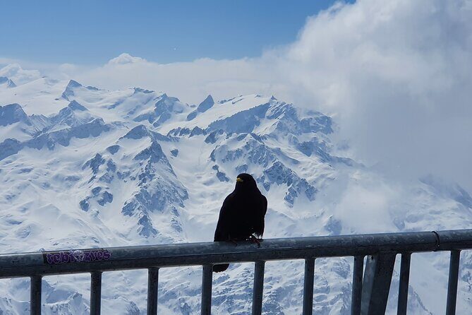 Mount Titlis Train Ticket and Self-Guided Tour from Luzern - Authentic Experiences and Practical Tips