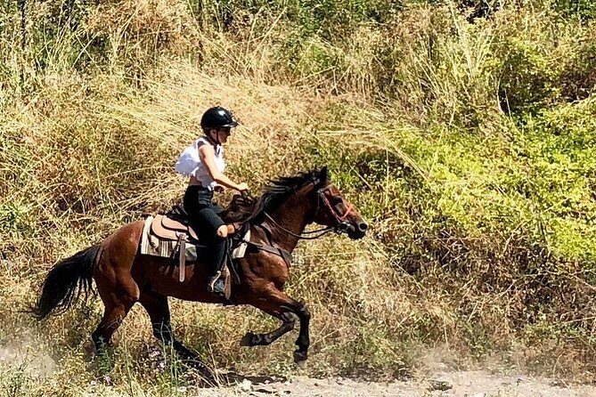 Mount Vesuvius Guided Horse Riding Tour with Sample Wine - An In-Depth Look at the Mount Vesuvius Horseback Tour