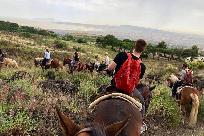 Mount Vesuvius Guided Horse Riding Tour with Sample Wine - Final Recommendations