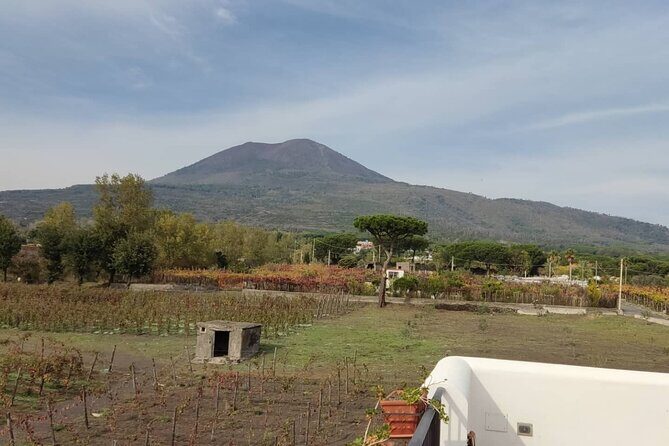 Mount Vesuvius Half Day Private Tour - Authentic Feedback from Travelers