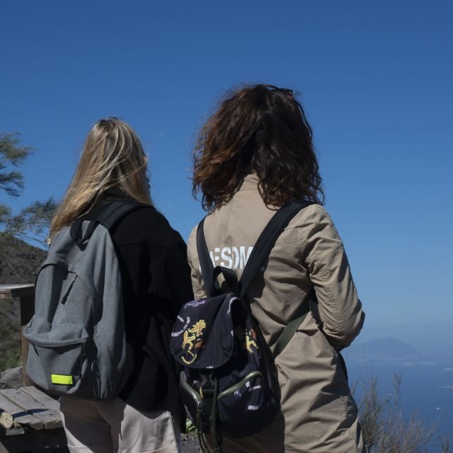 Mount Vesuvius: Skip-the-Line Ticket and Audio Guide - Final Thoughts