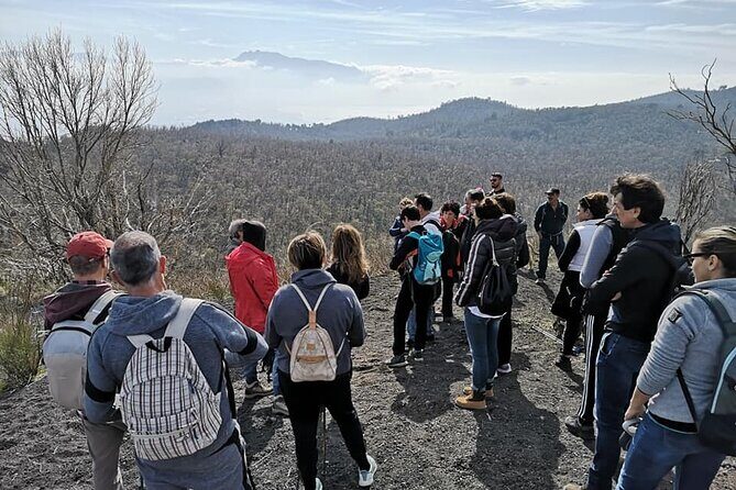 Mount Vesuvius tour by bus and ticket included from Ercolano - A Deep Dive into the Mount Vesuvius Tour from Ercolano