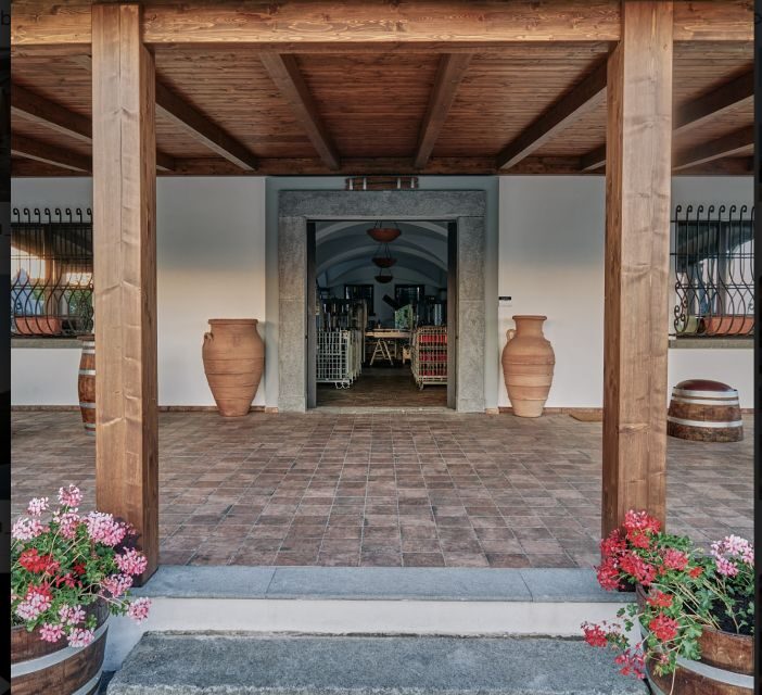 Mount Vesuvius: Vineyard Tour with Wine Tasting and Lunch - FAQs