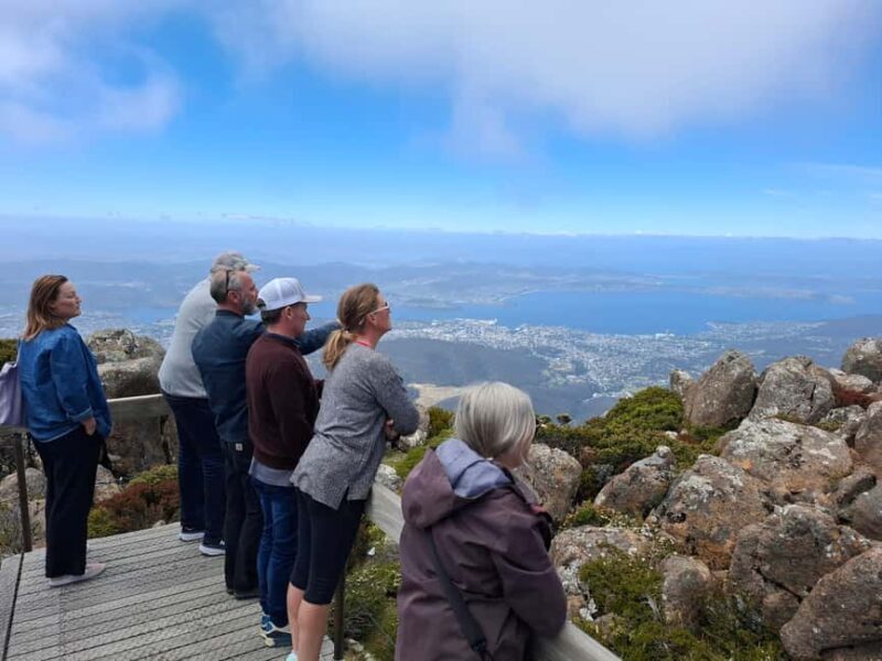 Mount Wellington Shore Excursion - Authentic Perspectives from Travelers