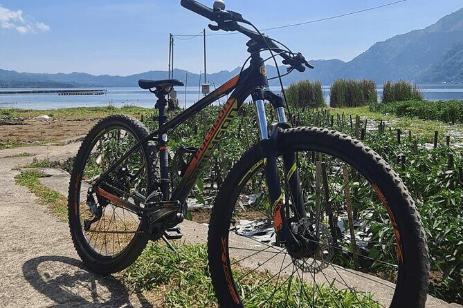 Mountain Bicycle Rental at Mount Batur - Key Points