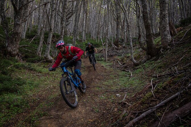 Mountain Bike Adventure in Punta Arenas - Key Points