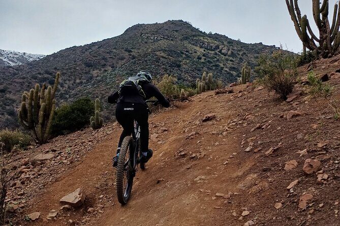 Mountain Bike Experience from Chile - Why This Tour Offers Great Value