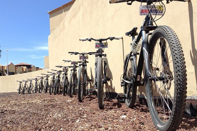 Mountain Bike Rental Tenerife - The Details That Matter: The Experience of Mountain Bike Rental Tenerife
