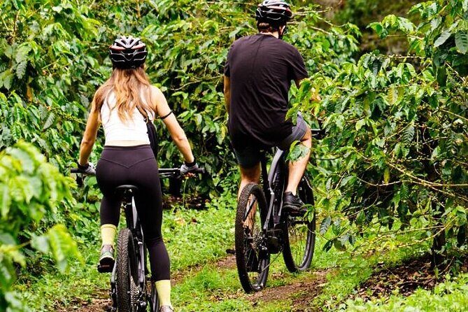 Mountain Bike Rental (top quality regular bikes) - Why This Bike Rental Is a Great Choice