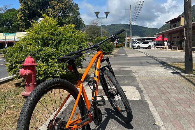 Mountain Bike Rental (top quality regular bikes) - Final Thoughts: Who Will Love This Experience?