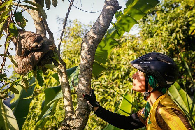 Mountain bike Tijuca Rain Forest - Exploring Rio’s Tijuca Rain Forest on a Mountain Bike