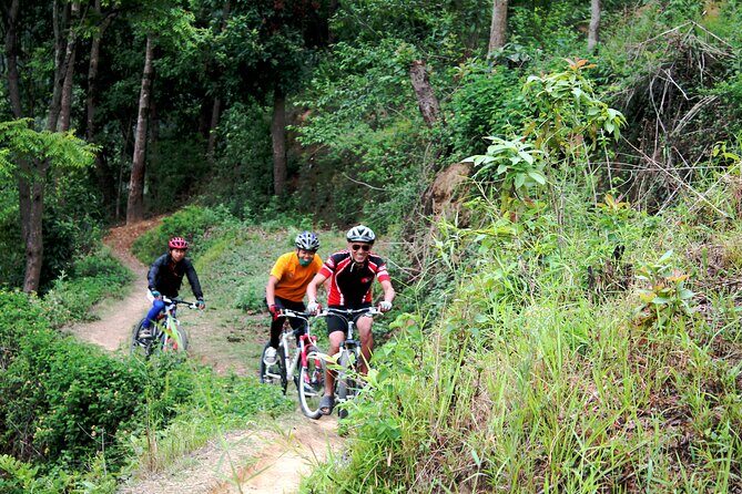 Mountain Bike Tour - The Sum Up: Why This Tour Is a Solid Choice