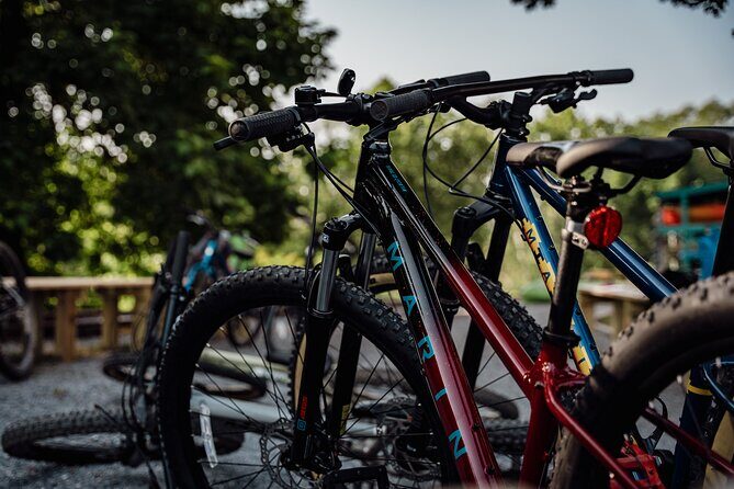 Mountain Bike Tour from The Roanoke Star - An In-Depth Look at This Mountain Bike Experience