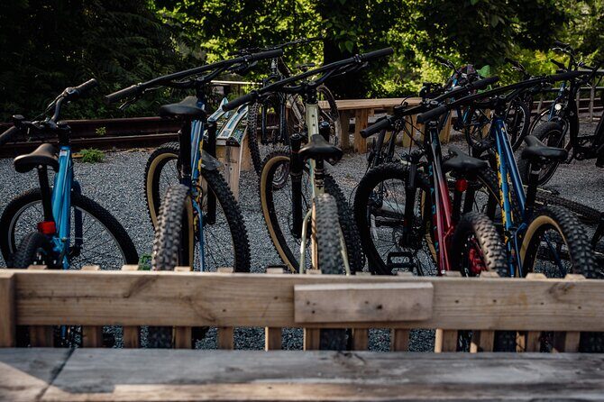 Mountain Bike Tour from The Roanoke Star - Final Thoughts