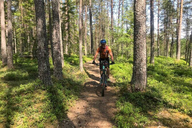 Mountain Bike - Voss Storålsen - Authentic Reviews & What They Say
