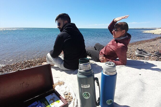 Mountain Biking and Sea Lion Watching in Puerto Madryn - Key Points