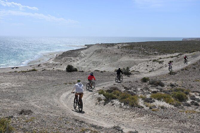 Mountain Biking and Sea Lion Watching in Puerto Madryn - FAQs