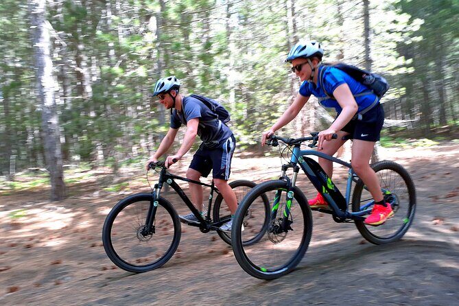 Mountain Biking Etna by MTB or E-Bike - Authenticity and Value