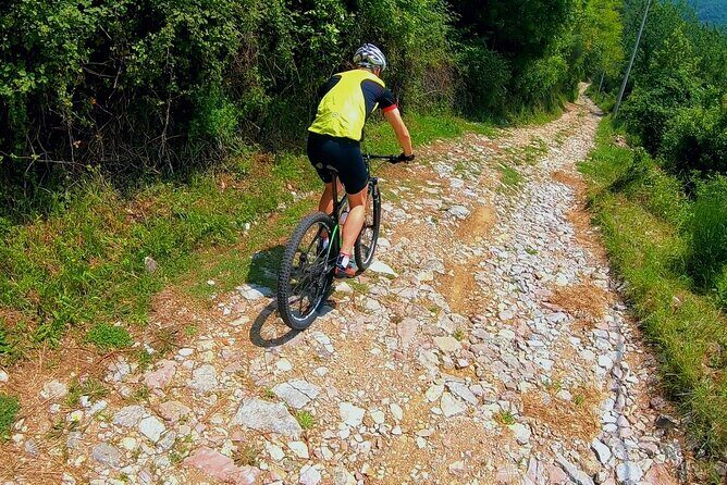 Mountain Biking on Vrmac peninsula - Panoramic view on Kotor bay - A Detailed Look at the Vrmac Mountain Biking Experience
