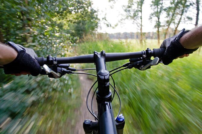 Mountain Biking Small-Group in Stockholm Forests for Beginners - Key Points