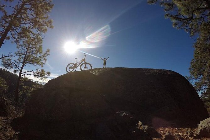 Mountain Biking Tour at La Primavera Forest - Experience the Adventure of Mountain Biking at La Primavera Forest