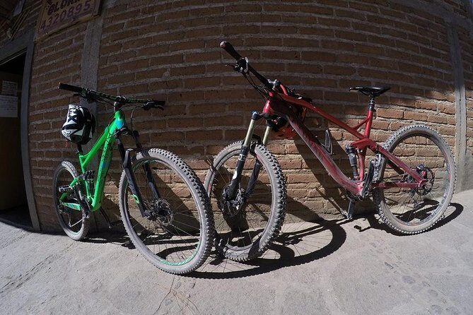 Mountain Biking Tour at La Primavera Forest - A Detailed Look at the Mountain Biking Tour