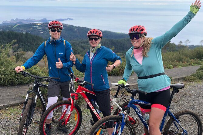 Mountain Biking Tour - Beginner Easy - Exploring Madeira’s Mountain Biking Experience in Detail