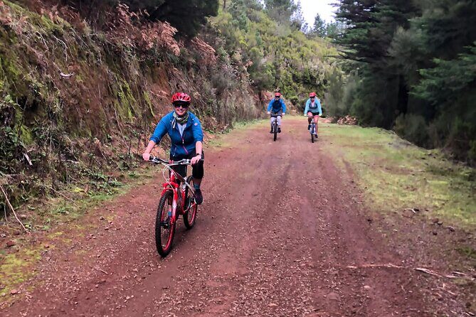 Mountain Biking Tour - Beginner Easy - A Balanced Look at the Downsides