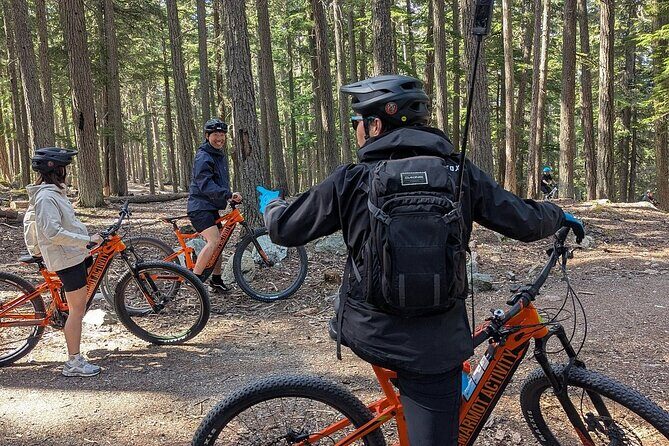 Mountain Breeze Tour - Mountain E Bike - Whistler Marmot Activity - Itinerary and Stops
