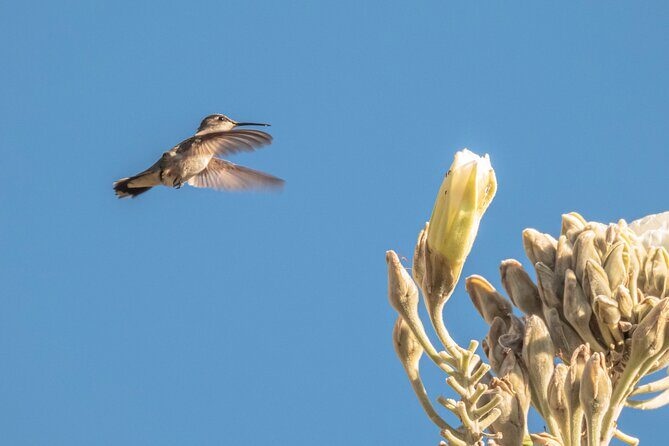 Mountain Hike & Rituals - Frequently Asked Questions