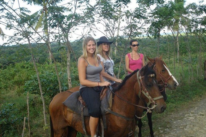 mountain horse back riding - Key Points