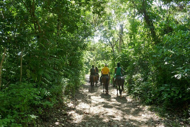 mountain horse back riding - Who Is This Tour Best For?