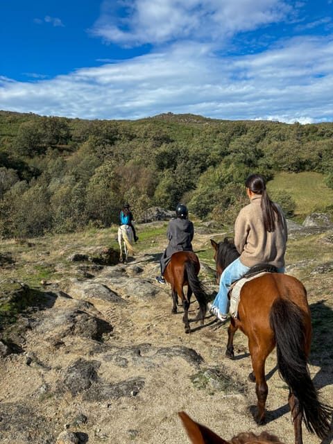 Mountain Horseback Ride, Lunch, Wine Tasting - Exploring the Douro Valley in Depth