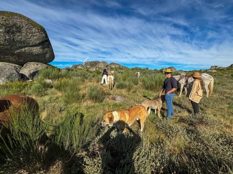 Mountain Horseback Ride, Lunch, Wine Tasting - The Experience Beyond the Highlights