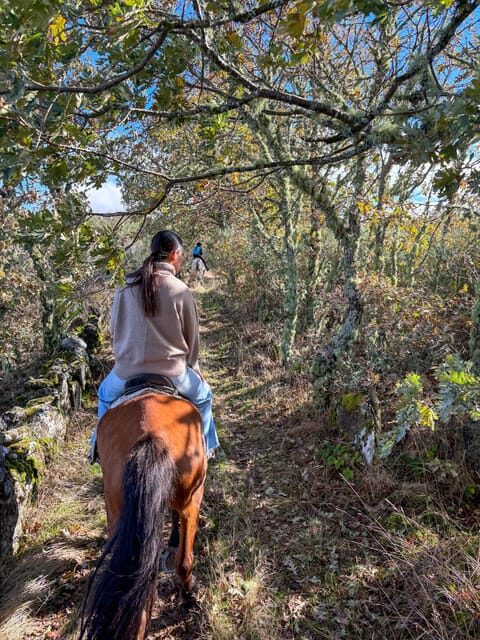 Mountain Horseback Ride, Lunch, Wine Tasting - FAQ