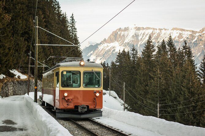 Mountain Majesty: Small Group Tour to Lauterbrunnen and Mürren - Potential Drawbacks and Considerations
