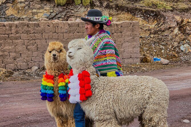 Mountain of Colors Vinincnever Full Day Tour from Cusco - What Makes This Tour Stand Out?