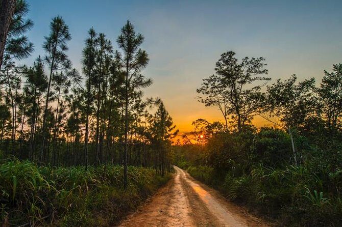 Mountain Pine Ridge Tour - An Authentic Belize Experience: The Mountain Pine Ridge Tour