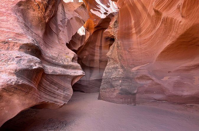 Mountain Sheep Canyon & Horseshoe Bend Tours - Arizona Tours - Who Should Book This Tour?