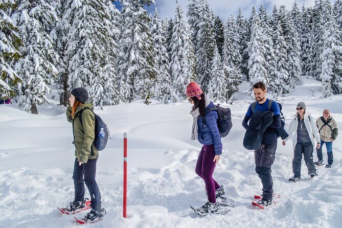 Mountain Snowshoeing & Photography - Final Thoughts: Is This Tour Right for You?