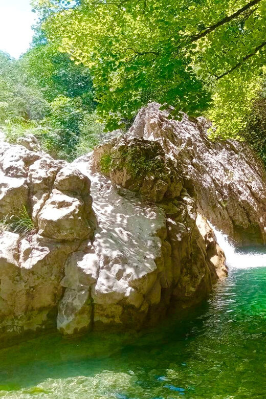 Mountain Train Experience: Hike & Mystic Forest (From Nice) - Key Points