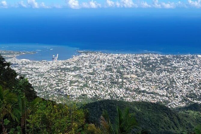 Mountain View and City Tours - Who Should Consider This Tour?