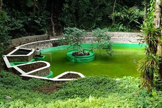 Mountain View and City Tours - Frequently Asked Questions