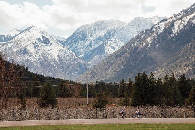 Mountain View E-Bike Experience - The Experience of the Guides and the Bikes