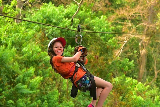 Mountain View Zip-line Tour - The Experience in Detail: What to Expect
